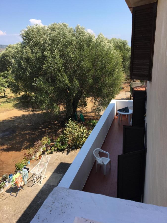 Casa Vacanza Maria Antonieta Marina di Camerota Esterno foto