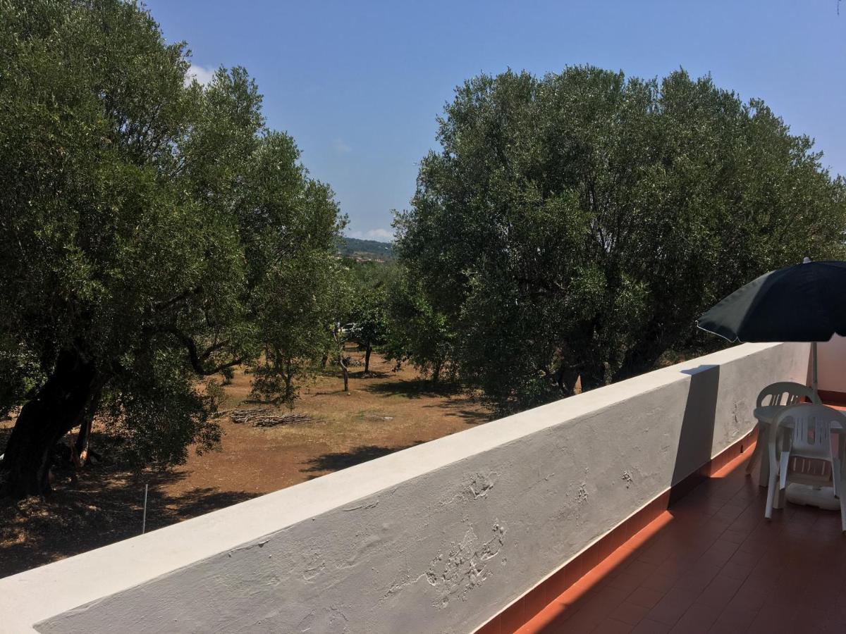 Casa Vacanza Maria Antonieta Marina di Camerota Esterno foto