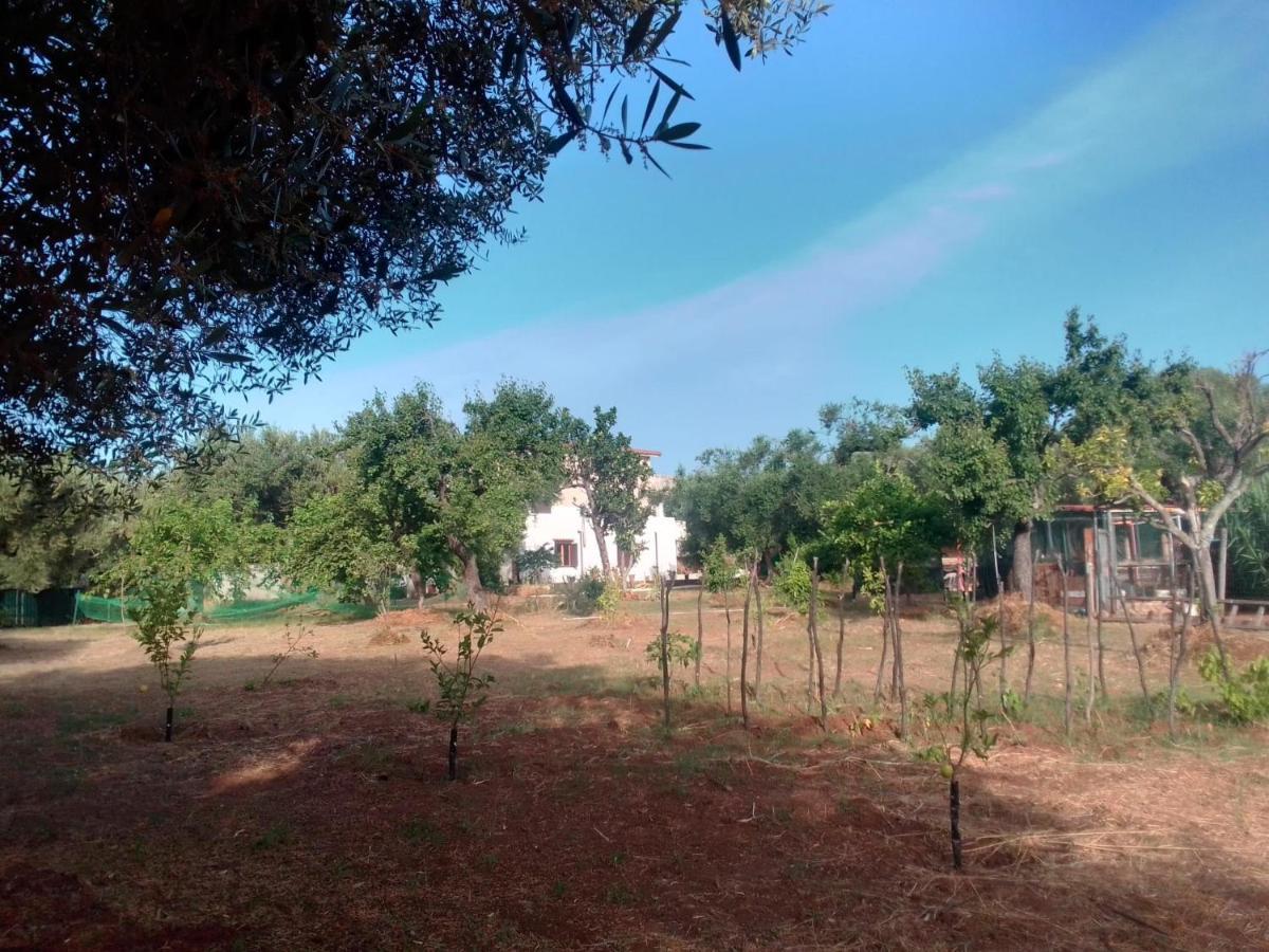 Casa Vacanza Maria Antonieta Marina di Camerota Esterno foto