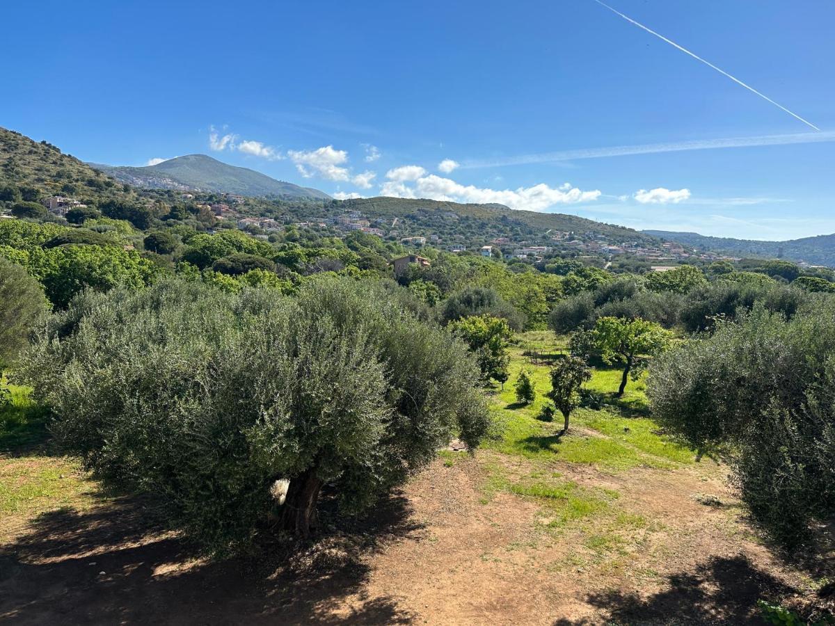 Casa Vacanza Maria Antonieta Marina di Camerota Esterno foto