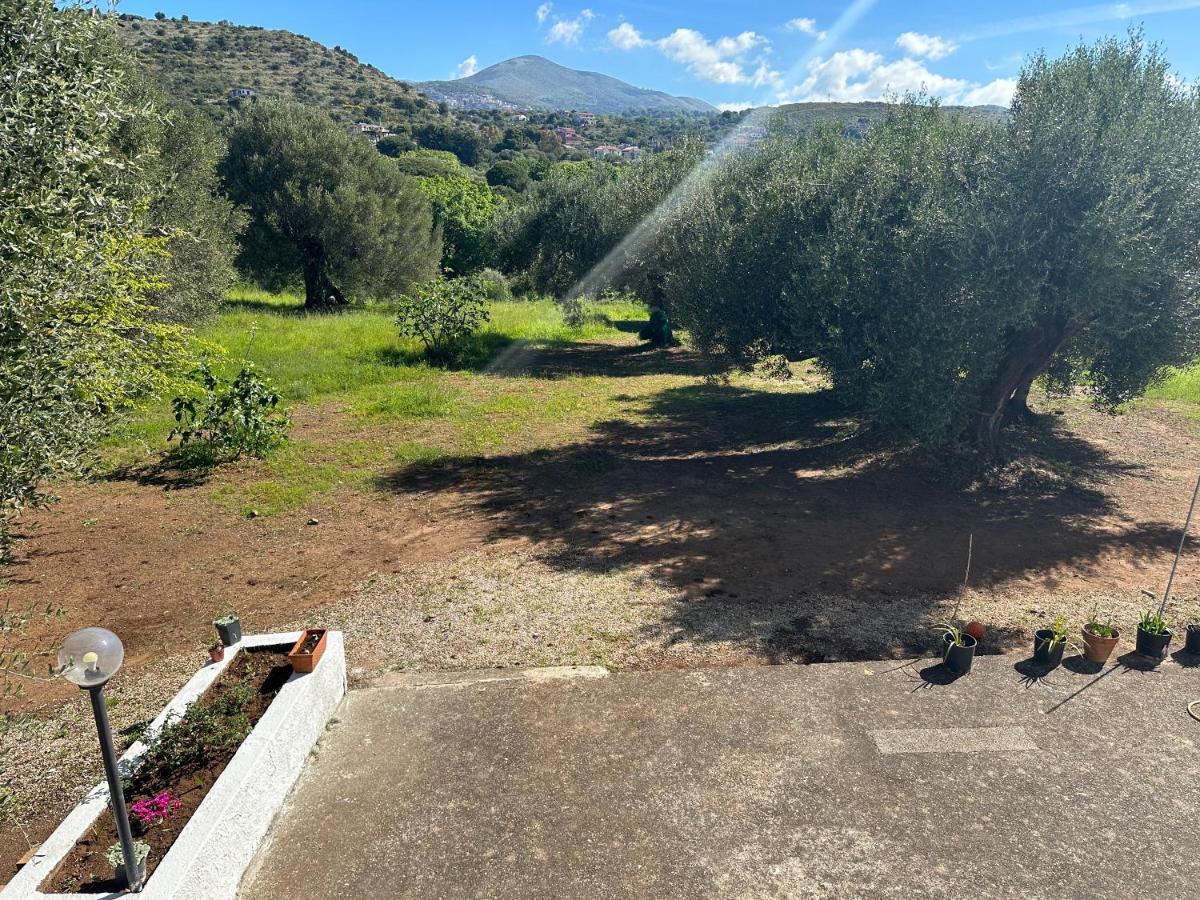 Casa Vacanza Maria Antonieta Marina di Camerota Esterno foto