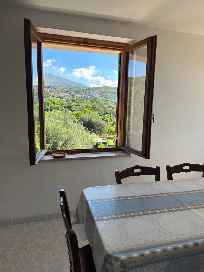 Casa Vacanza Maria Antonieta Marina di Camerota Esterno foto