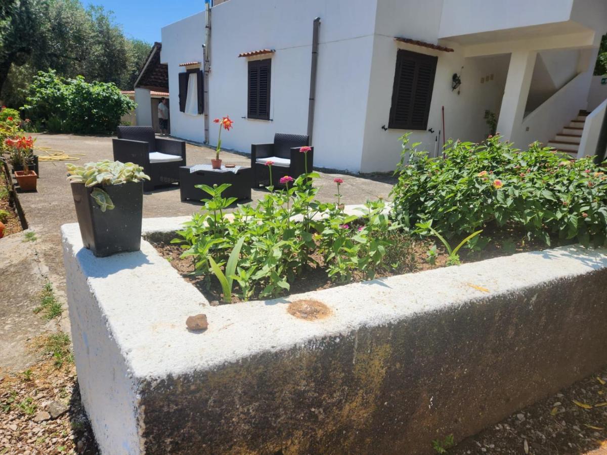Casa Vacanza Maria Antonieta Marina di Camerota Esterno foto